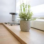아파트 Pawelek 자토르