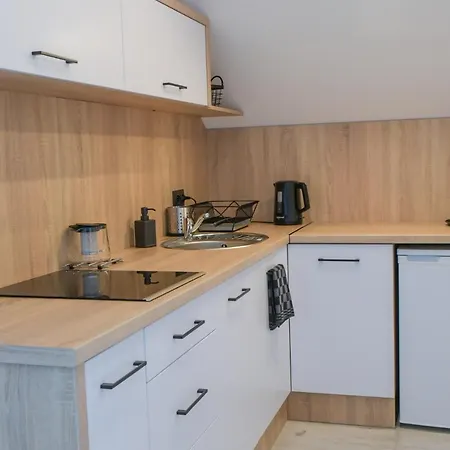 Pawelek Apartment Zator