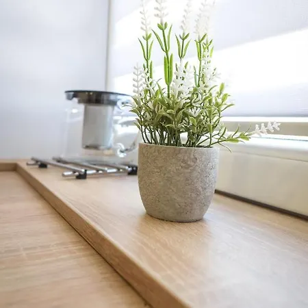 Apartmán Pawelek Zator