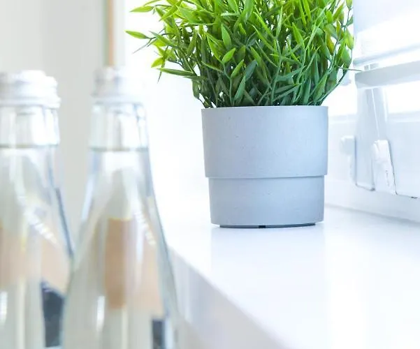 Pawelek Apartamento *