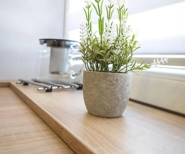 Apartmán Pawelek Zator